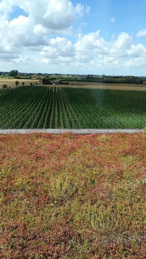 Monts et Merveilles Godewaersvelde Extérieur photo
